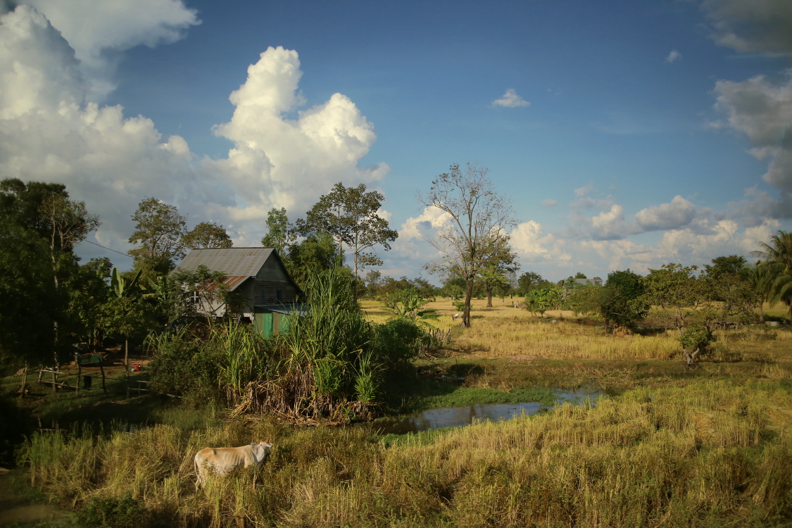 Voyage en bus de Phnom Penh Ã  Siem Reap.