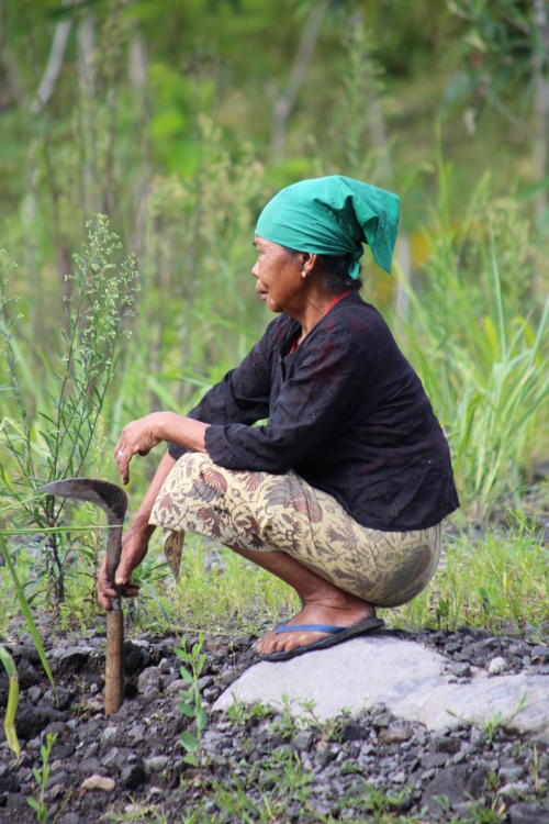 Java. Gunung Merapi.
