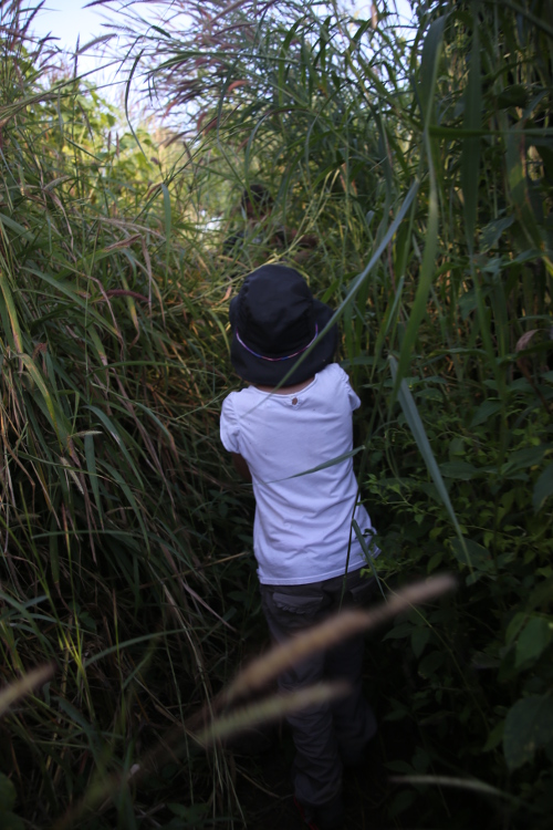 Plateau des Bolovens.
Le sentier Ã©tait parfois difficile Ã  suivre...