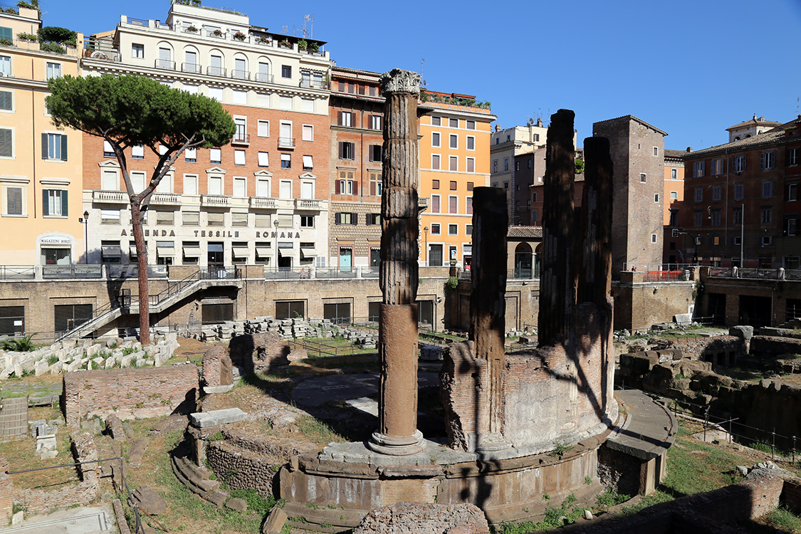 Rome.
Nous voici Ã  la Curie de PompÃ©e, lieu de rassemblement de pas mal de chats, mais surtout lÃ  oÃ¹ Jules CÃ©sar s'est Ã©criÃ© 