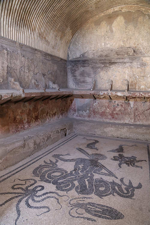 Herculaneum.
Les thermes urbains sont dans un Ã©tat de conservation incroyable. On peut voir les canalisations en plomb, les mosaÃ¯ques et les plafonds tels qu'ils Ã©taient.
Ici, la mosaÃ¯que de Triton du vestiaire de la section fÃ©minine.