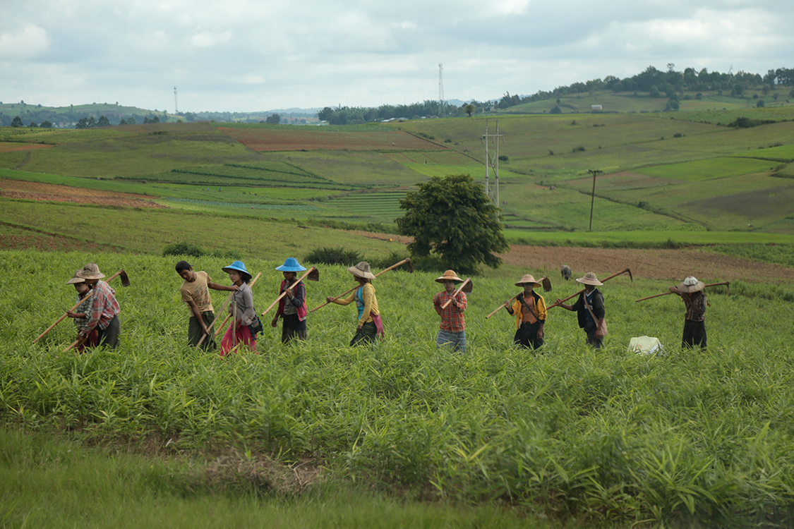 Trajet Kalaw-Pindaya.