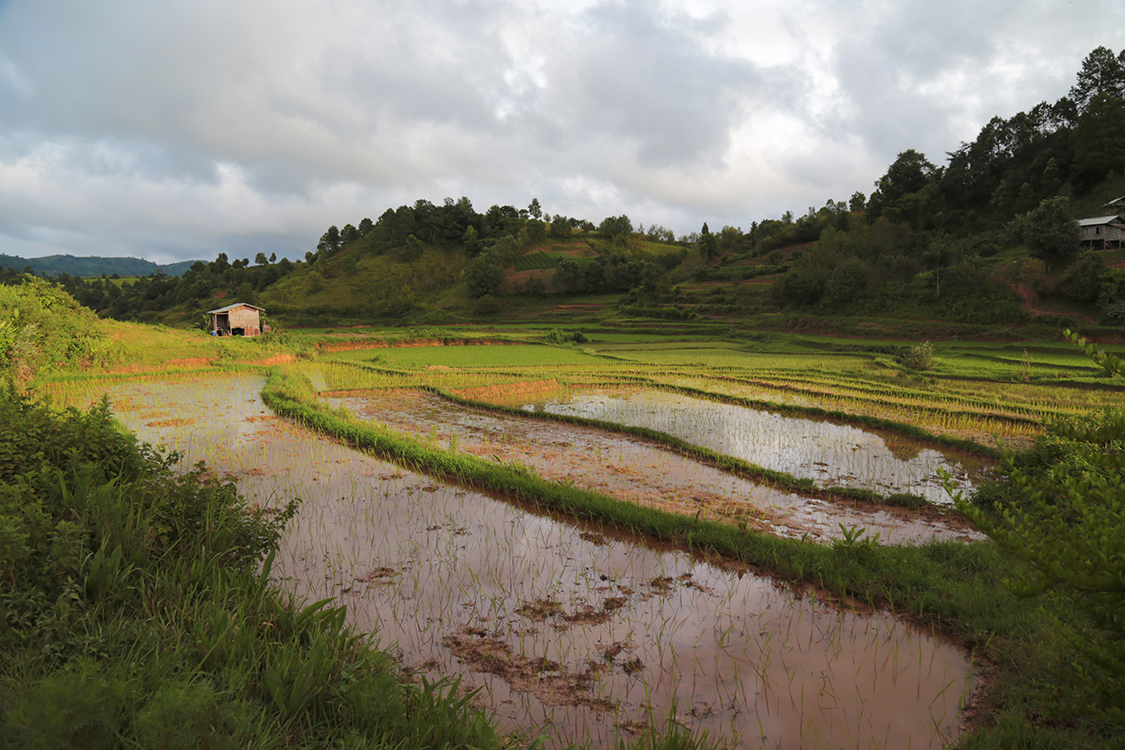 Trek Kalaw-Lac InlÃ©.