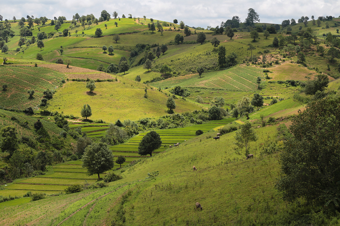 Trek Kalaw-Lac InlÃ©.