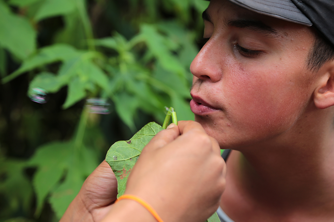 Trek Kalaw-Lac InlÃ©.
Notre guide nous a fait dÃ©couvrir cette plante Ã©tonnante qui permet de faire des bulles de 