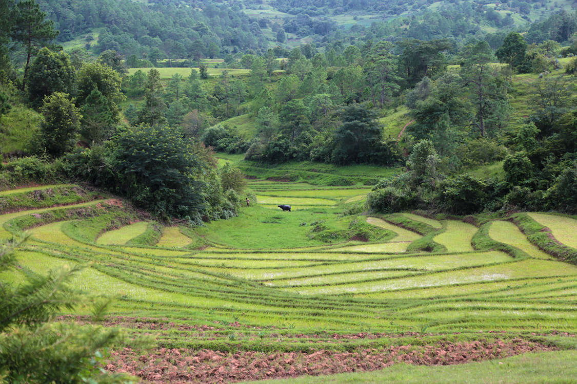 Trek Kalaw-Lac InlÃ©.