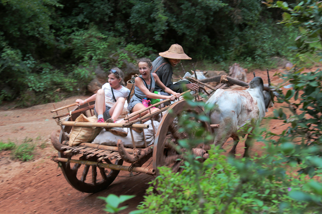 Trek Kalaw-Lac InlÃ©.
La fin du parcours a Ã©tÃ© plus rocambolesque, avec un petit tour de charrette Ã  bÅ“ufs. Avant de monter dessus, les filles l'ont quand-mÃªme aidÃ© Ã  pousser la charrette dans la montÃ©e !