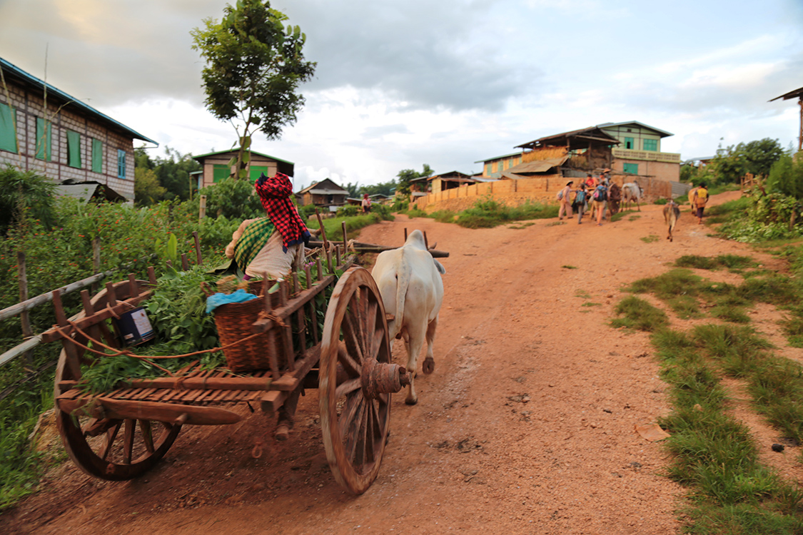 Trek Kalaw-Lac InlÃ©.
Fin de journÃ©e : on arrive dans notre village pour une nuit bien mÃ©ritÃ©e !