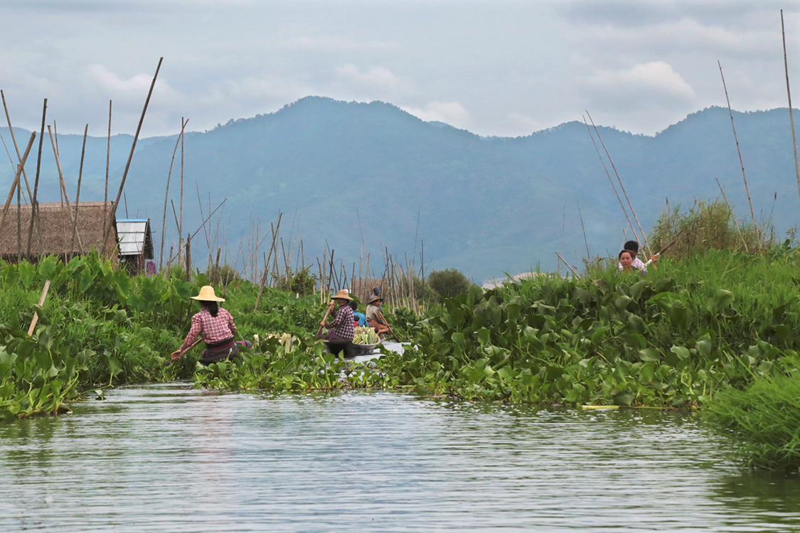 Lac Inle.
Le lac le plus touristique de la Birmanie, mais qui conserve un certain charme, avec ses jardins flottants, et ses fameux pÃªcheurs.