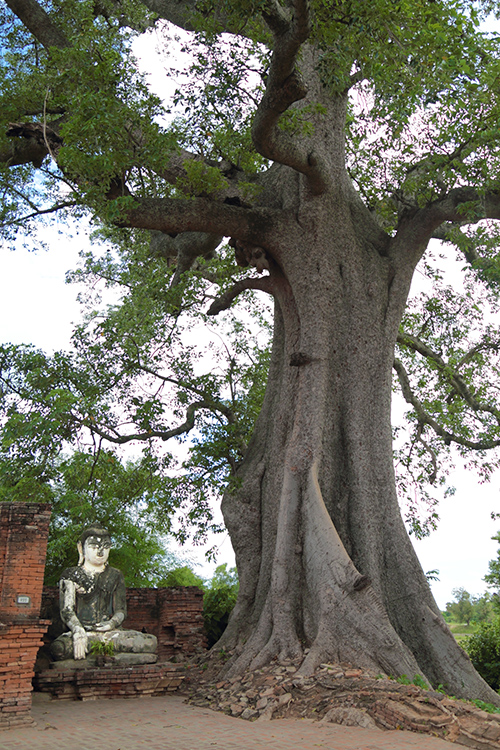 Mandalay, Inwa.
Pagode Yandana Sinme.