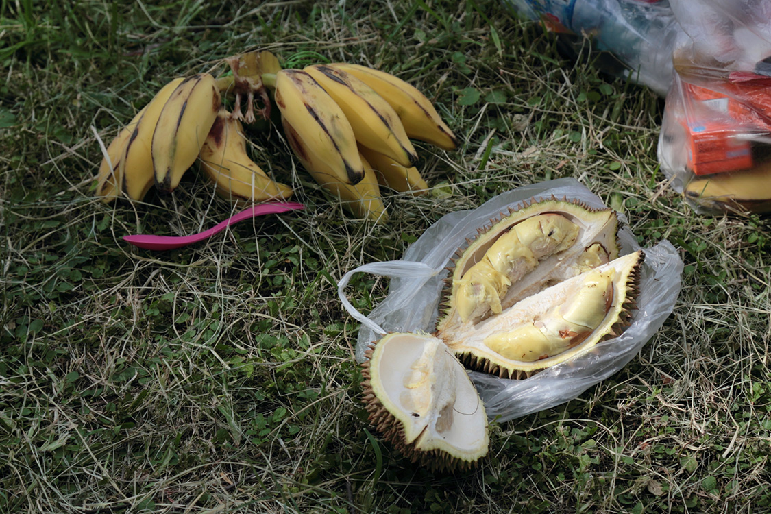 Mandalay.
On se fait un petit pique-nique pour changer du restaurant. Et on teste enfin le Durian !
Et ce fruit est bien Ã  la hauteur de sa rÃ©putation... on dirait un camembert qui aurait passÃ© 3 mois dans le linge sale !