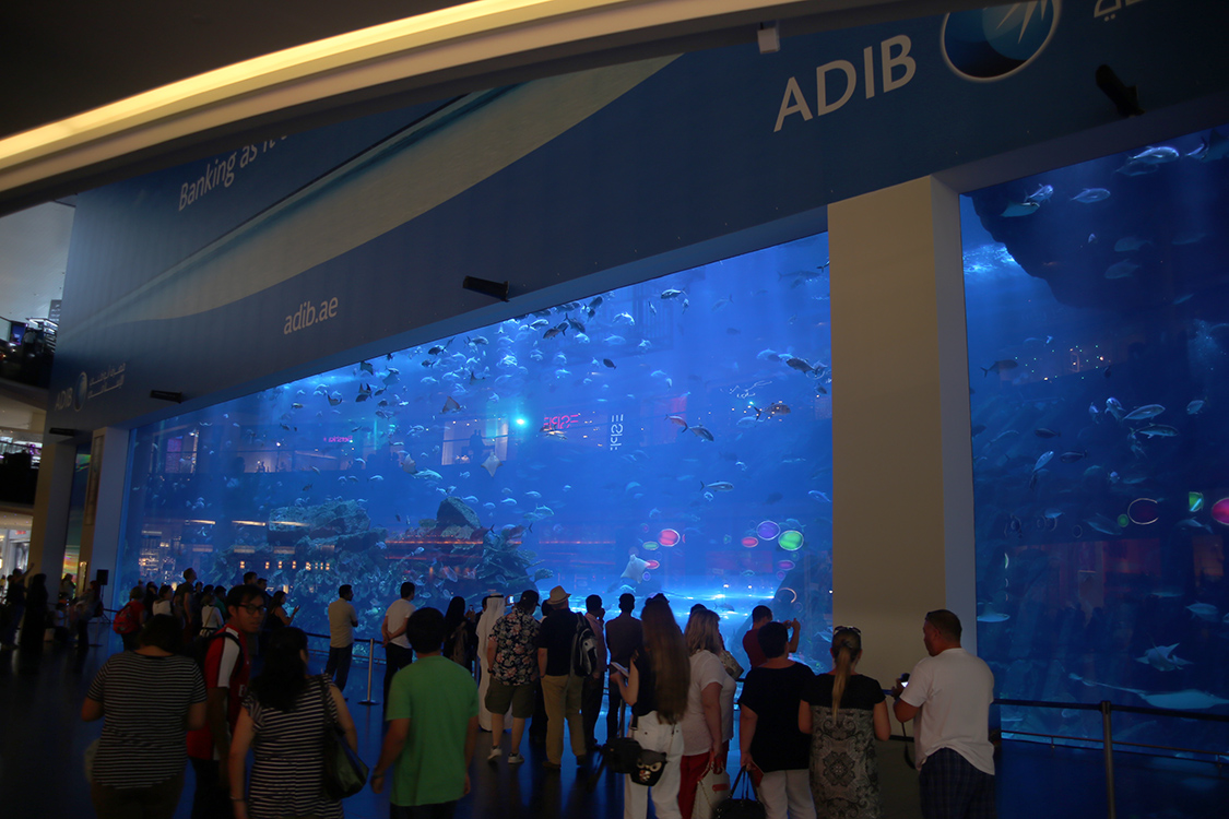 Aquarium de DubaÃ¯.
Dans la galerie du DubaÃ¯ Mall, un des plus grands aquarium du monde...