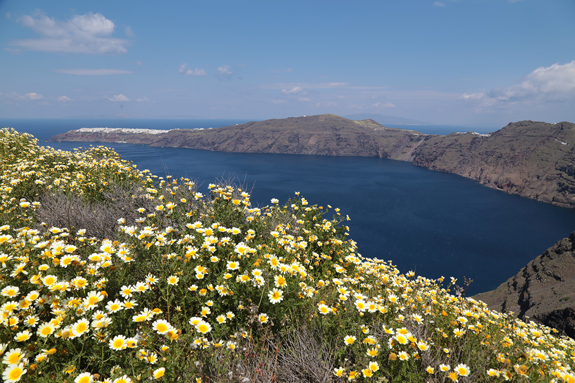 Santorin.
RandonnÃ©e Fira-Oia.
Vue sur Oia depuis le rocher de Skaros.