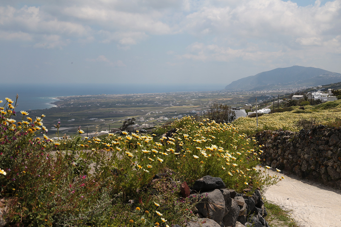 Santorin.
RandonnÃ©e Fira-Oia.
Le cÃ´tÃ© opposÃ© au cratÃ¨re est en pente douce.