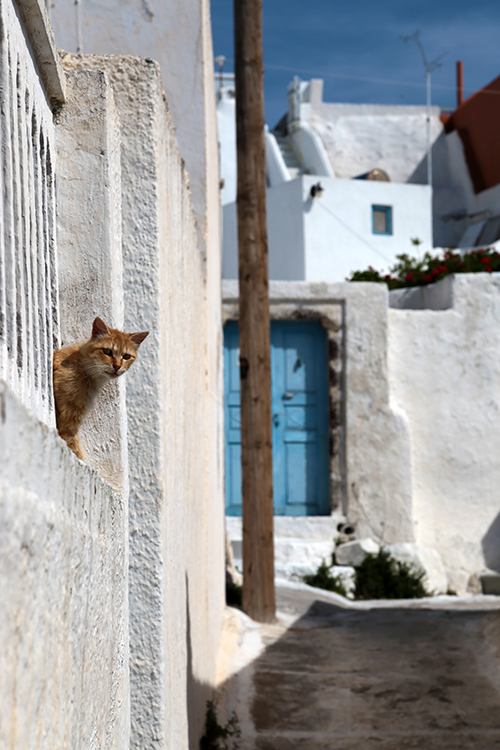 Santorin.
Village de Mesaria.