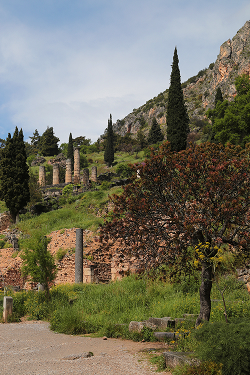 Delphes.
DÃ©couverte de ce superbe site archÃ©ologique, dans un Ã©crin de nature.
Delphes est un sanctuaire panhÃ©llÃ©nique, c'est Ã  dire un sanctuaire de la GrÃ¨ce antique oÃ¹ l'on honore un ou plusieurs dieux.