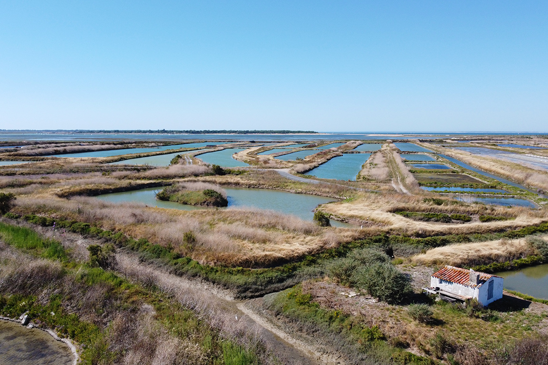 Ile de RÃ©.
