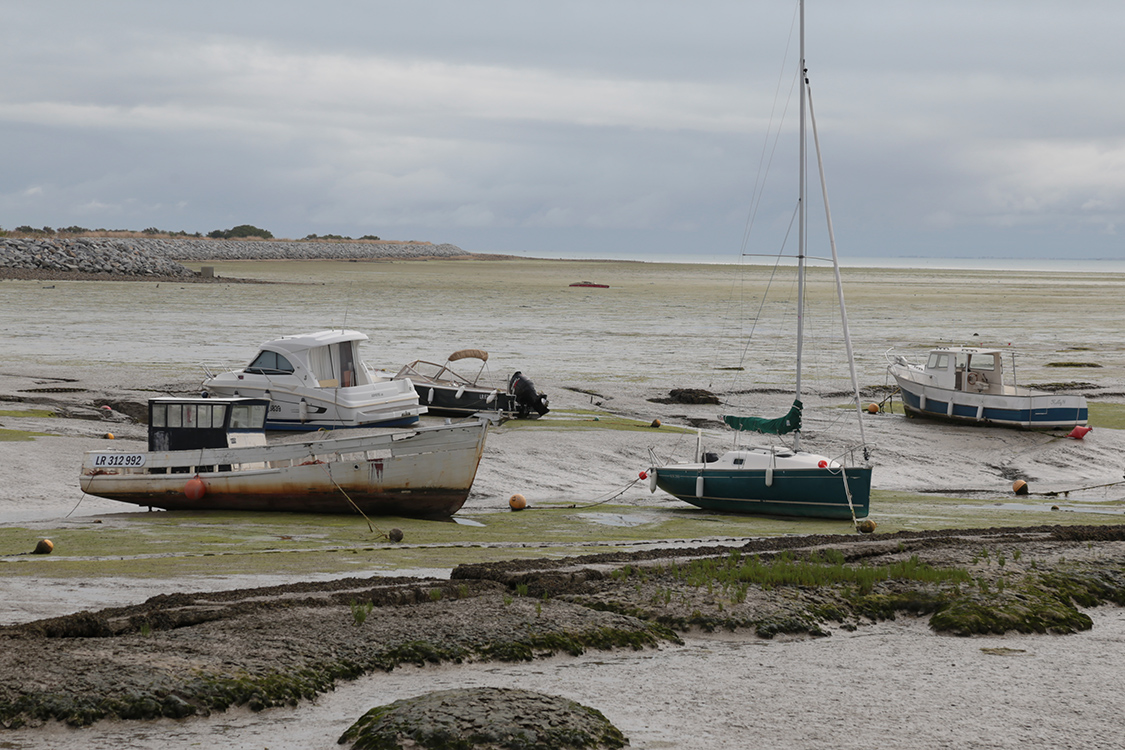 Ile de RÃ©.