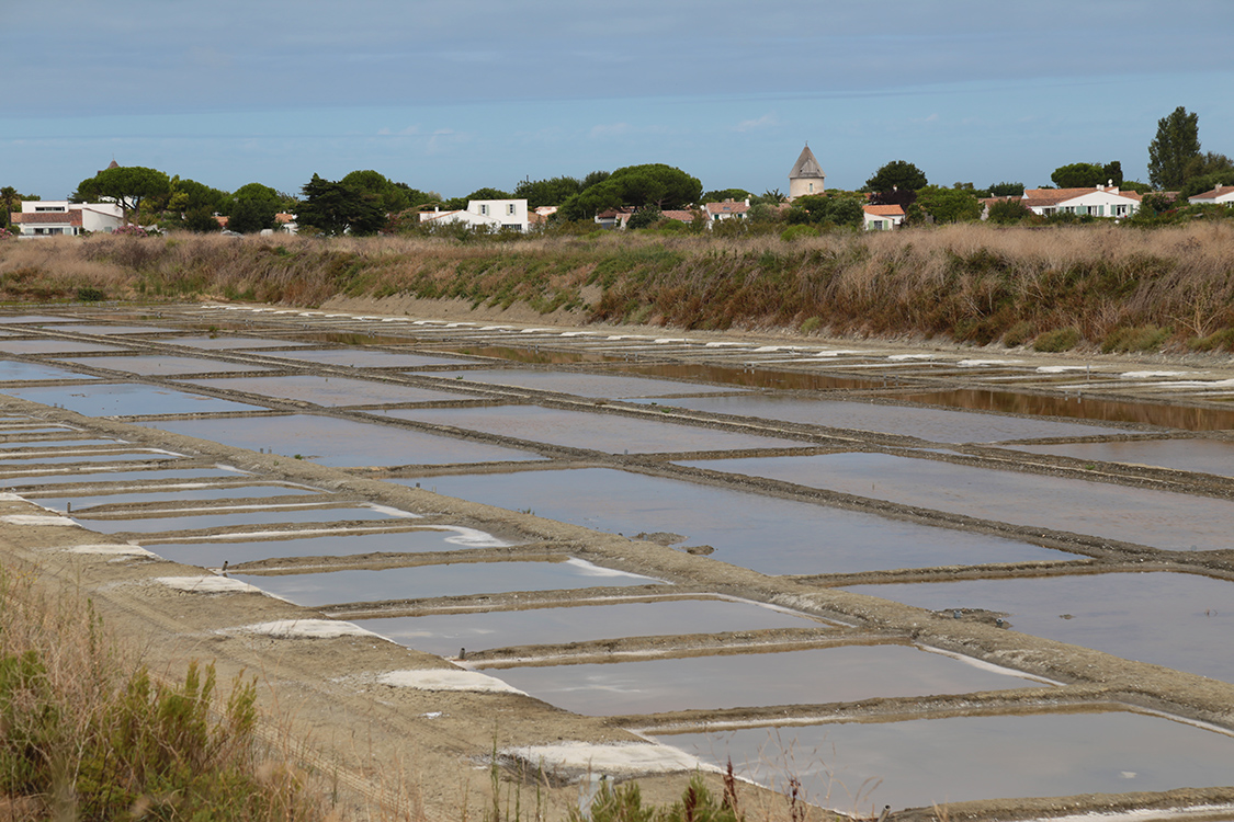 Ile de RÃ©.