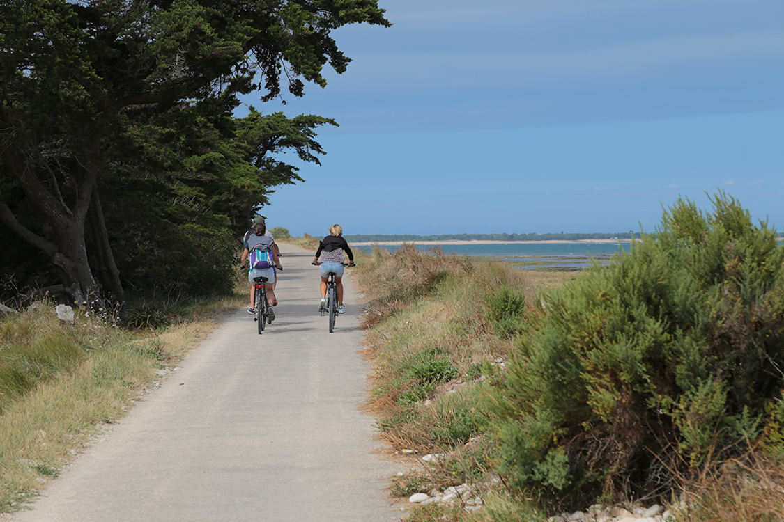 Ile de RÃ©.
