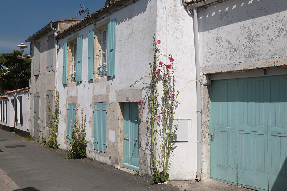 Ile de RÃ©.
Village de Loix.