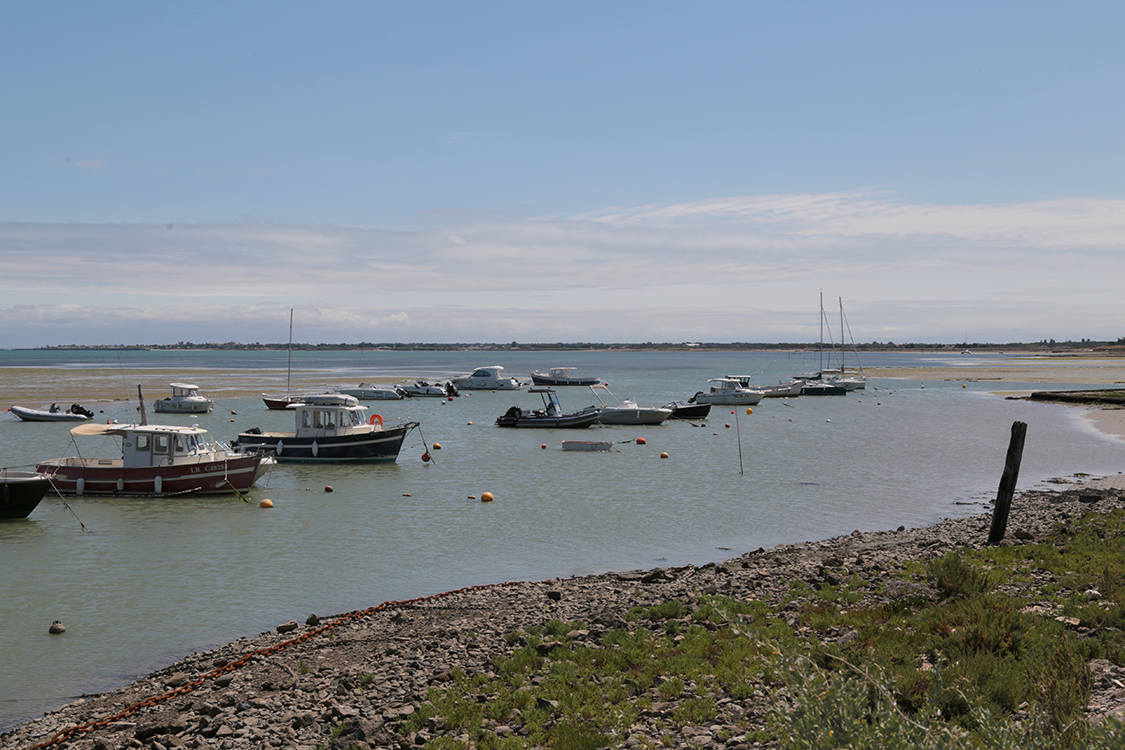 Ile de RÃ©.