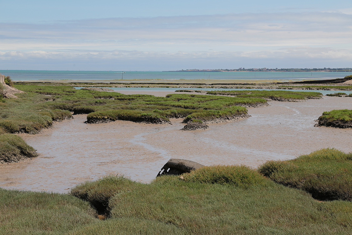 Ile de RÃ©.