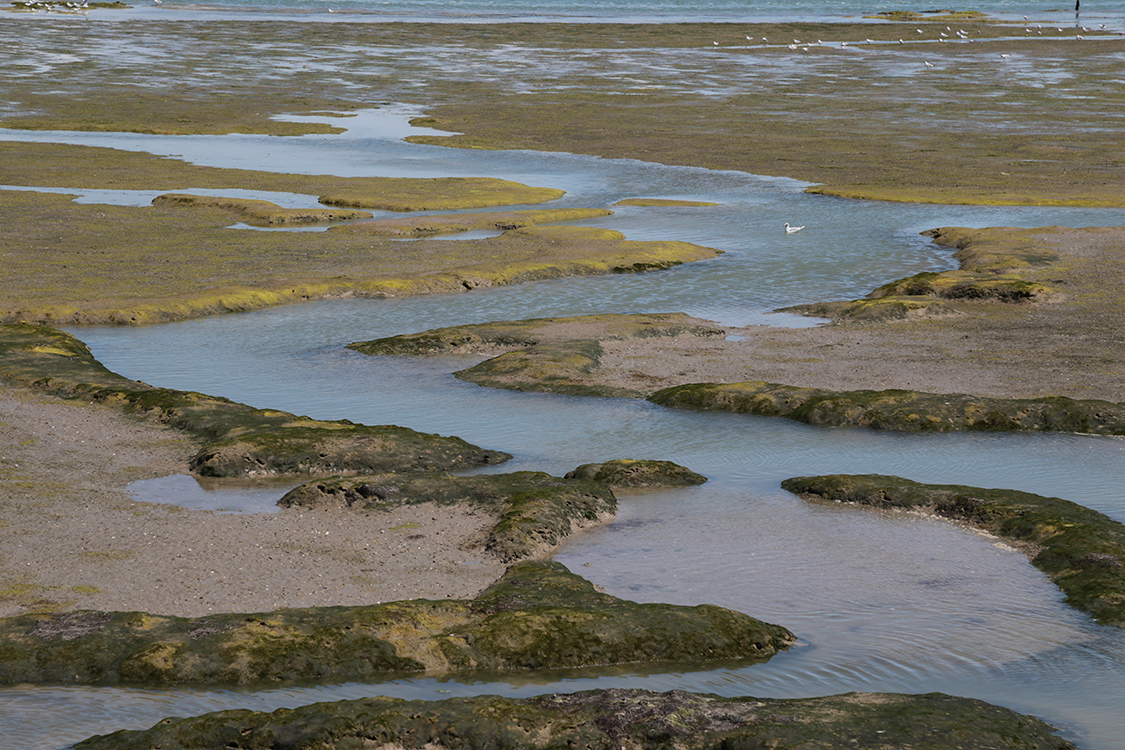 Ile de RÃ©.