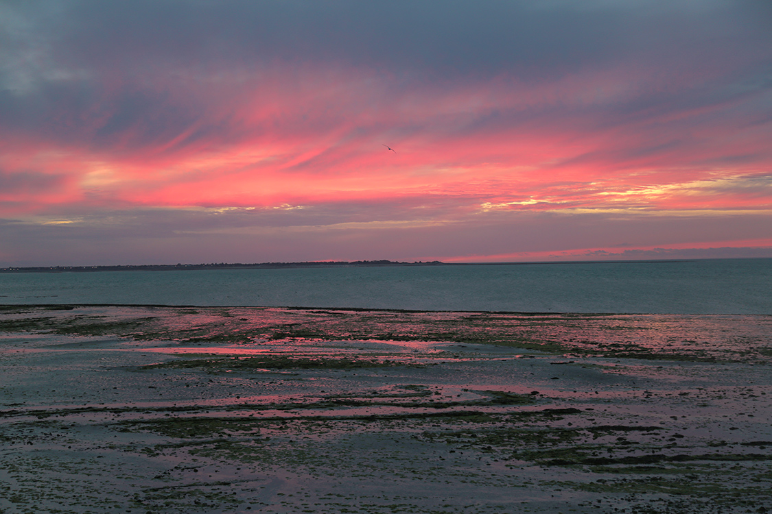 Ile de RÃ©.
Magnifique coucher de soleil pour notre derniÃ¨re soirÃ©e !