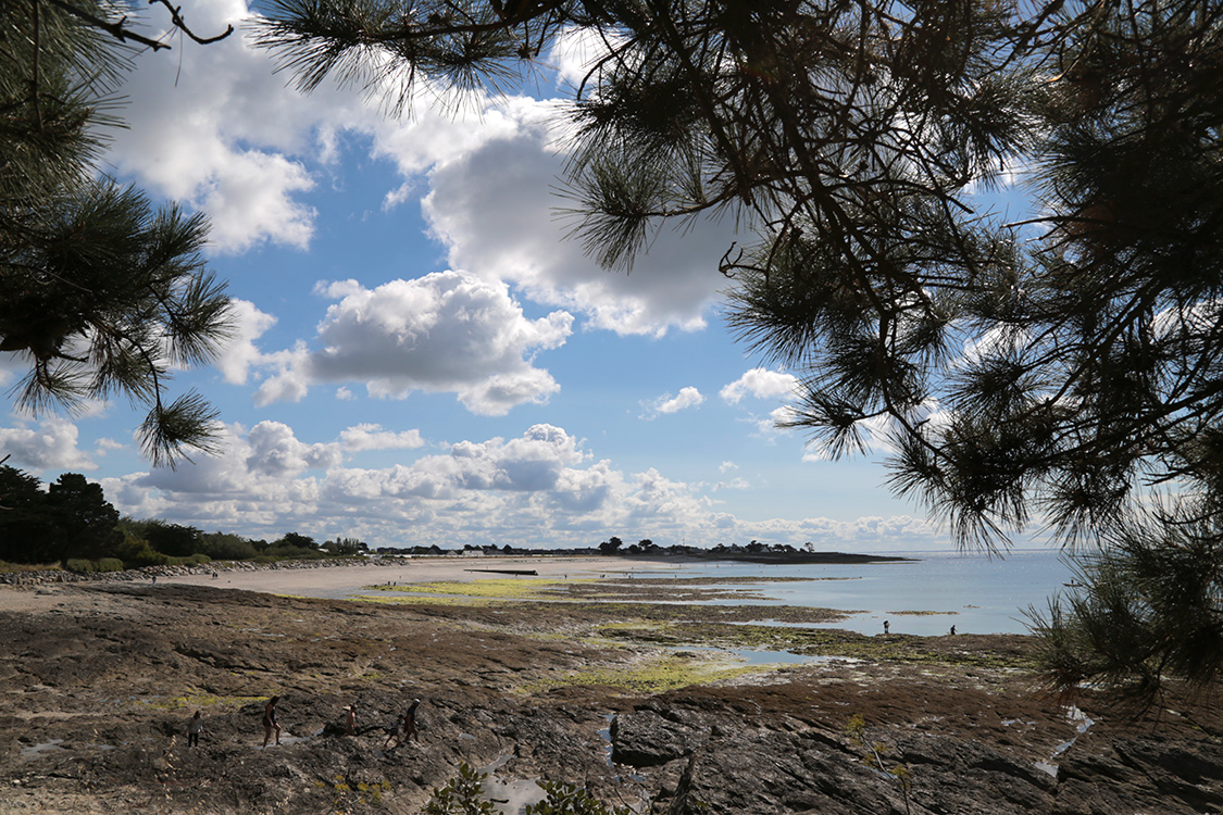 Sarzeau. Plage de Saint Jacques.