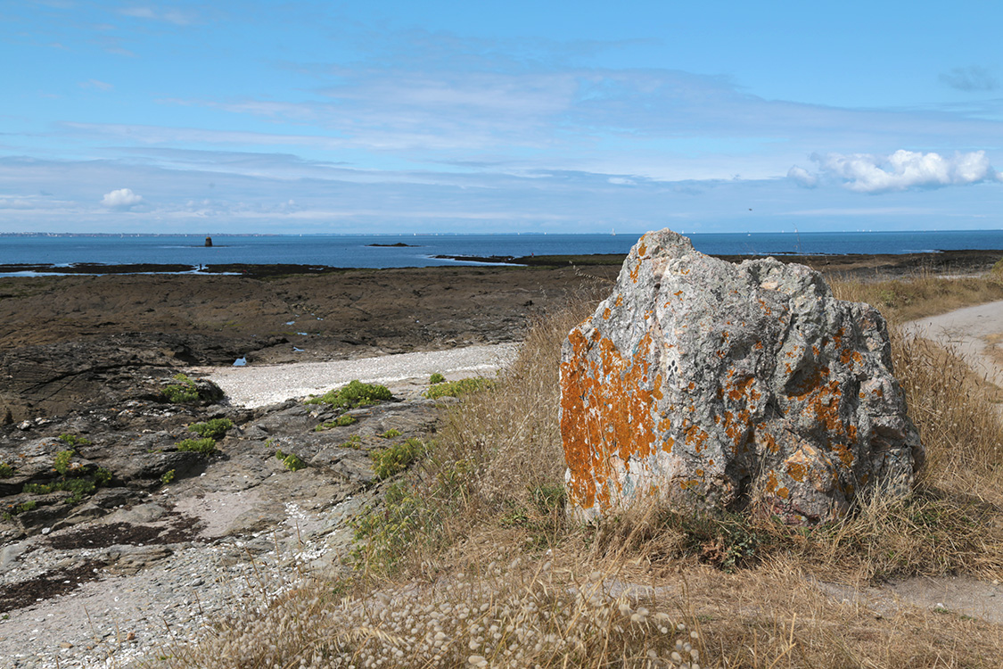 Saint-Gildas-de-Rhuys, en limite de Sarzeau.
On arrive dans la rÃ©gion des menhirs. Voici notre premier : la pierre Jaune de Kercambre !