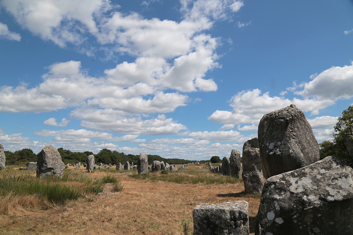 Carnac. Alignements du MÃ©nec.
Les alignements de Carnac sont gigantesques et comptent plus de 4000 pierres Ã©rigÃ©es il y a environ 4500 ans.