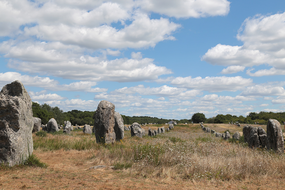 Carnac. Alignements du MÃ©nec.