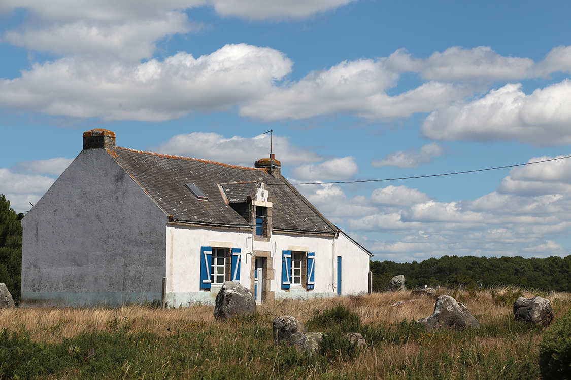 Carnac. Alignements du MÃ©nec.