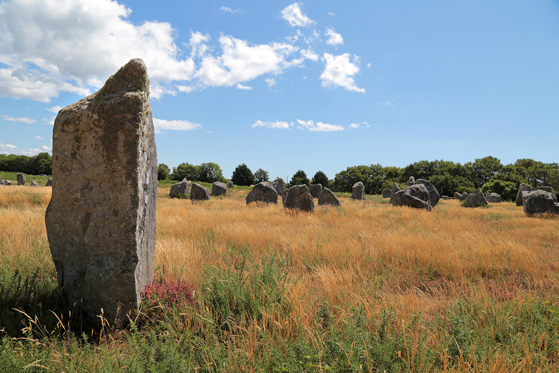 Carnac. Alignements de Kermario.

