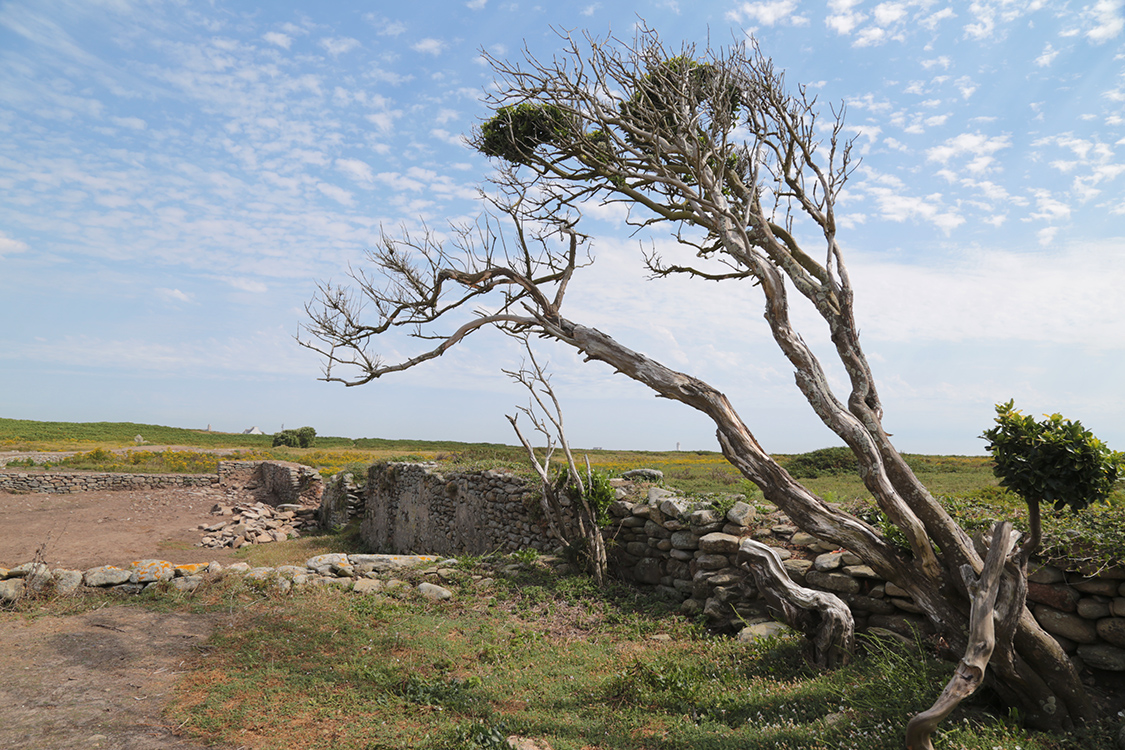 Ile de Sein.