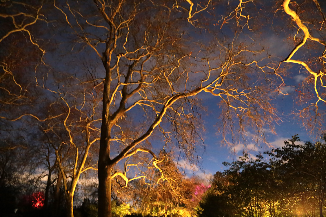 TraversÃ©e de Regent's Park by night !