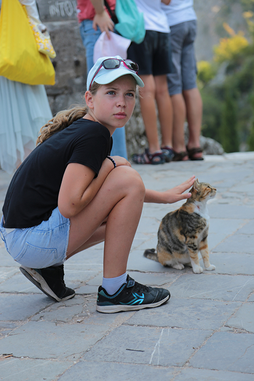 Kotor.
C'est la ville des chats !
Il y a mÃªme un musÃ©e des chats.