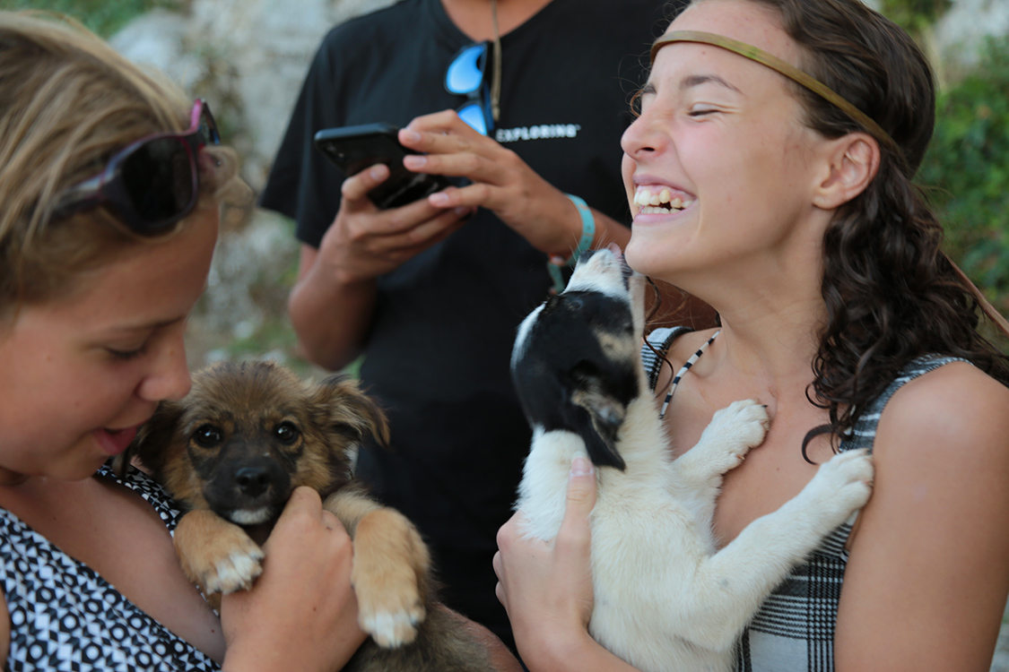 Parc national du Skadar.
Lors de nos pÃ©rÃ©grinations, on rencontre des chiens ADORABLES !!! On a failli partir avec...