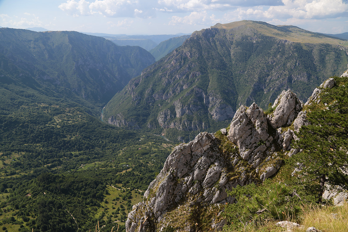 Parc National du Durmitor.
Point de vue de Curevac, sur le canyon de la Tara.