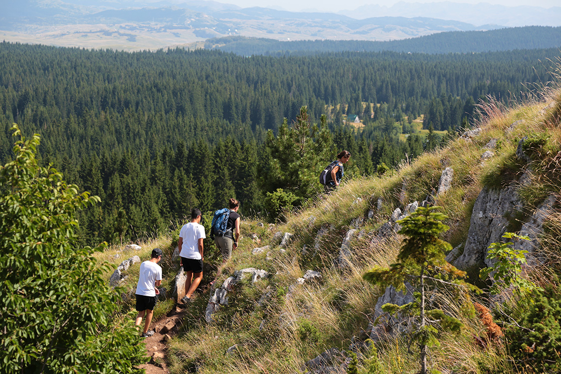 Parc National du Durmitor.
Point de vue de Curevac.