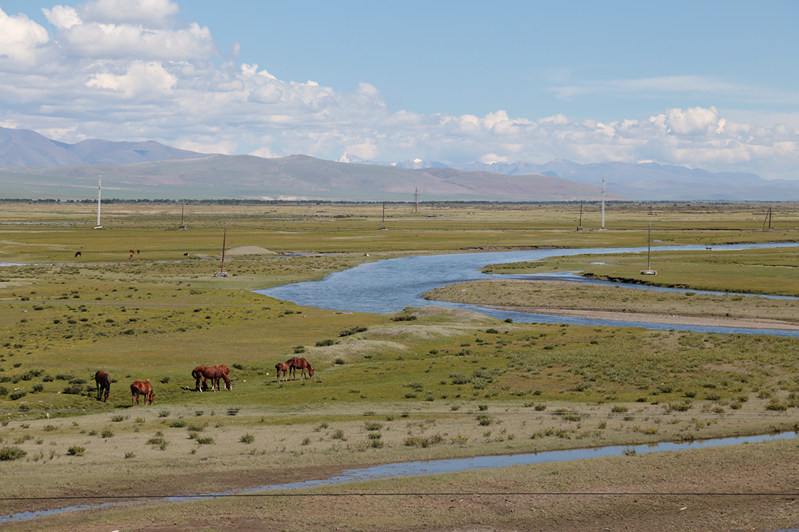 Kosh-Agatch.
Steppe de la TchouÃ¯a.