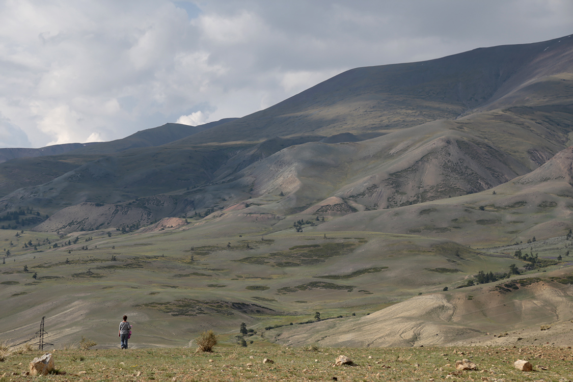 Plateau d'Ukok.
Balade autour de notre camp de yourte.