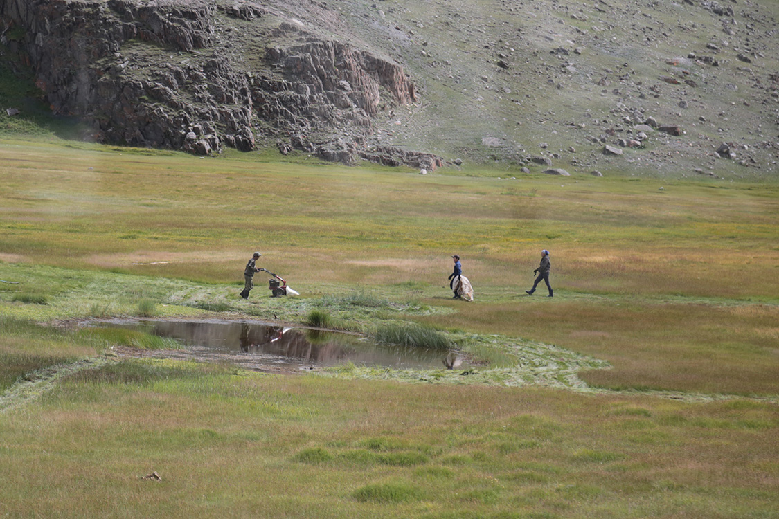 VallÃ©e de Beltir.
Ici, les gens aiment que la montagne soit bien rangÃ©e. Alors ils tondent tous les champs !!!
Assez Ã©tonnant de voir ces scÃ¨nes au milieu de la montagne, mais comme rien ne pousse, ils ramassent l'herbe pour nourrir les animaux l'hiver.