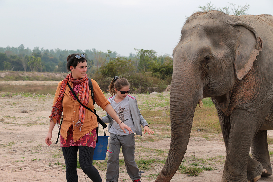 Phetchaburi.
Nous passons un journÃ©e au Wildlife Friends Foundation, une fondation qui s'occupe des animaux mal traitÃ©s, abandonnÃ©s ou blessÃ©s.
Belle rencontre avec les Ã©lÃ©phants.