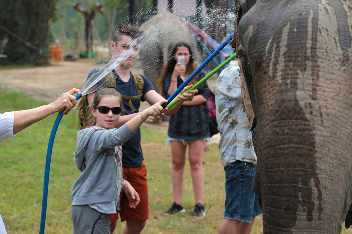 Phetchaburi.
Wildlife Friends Foundation.