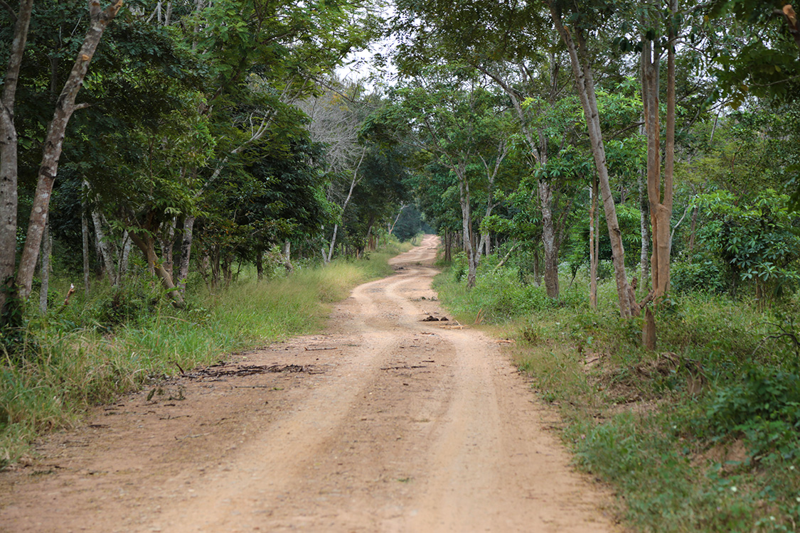 Parc national de Kui Buri.
Retour dans ce parc naturel pour voir des Ã©lÃ©phants Ã  l'Ã©tat sauvage...