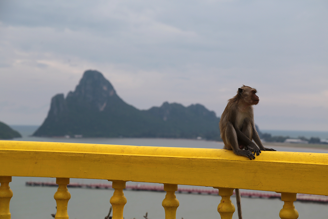 Prachuap Khiri Khan.
Temple Khao Chong Krachok.