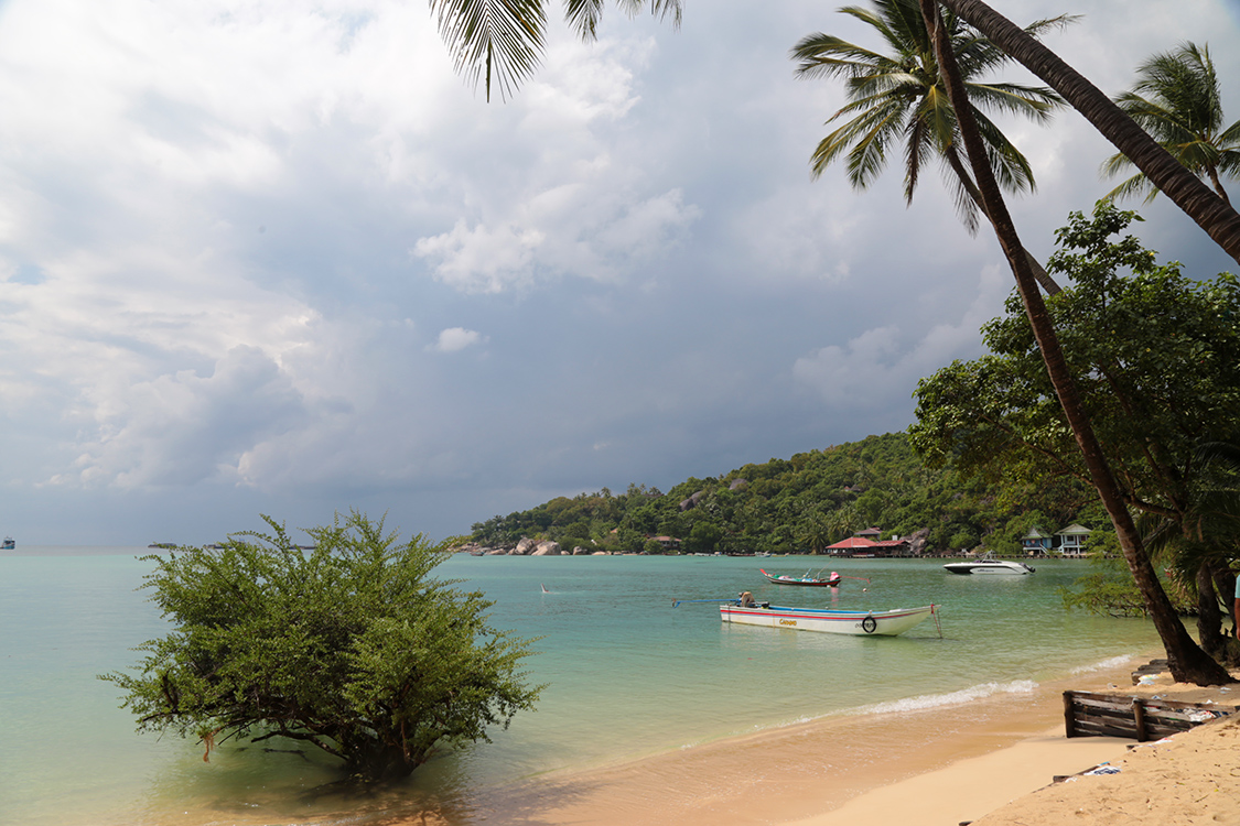 Koh Tao.
La journÃ©e repos du 1er janvier...