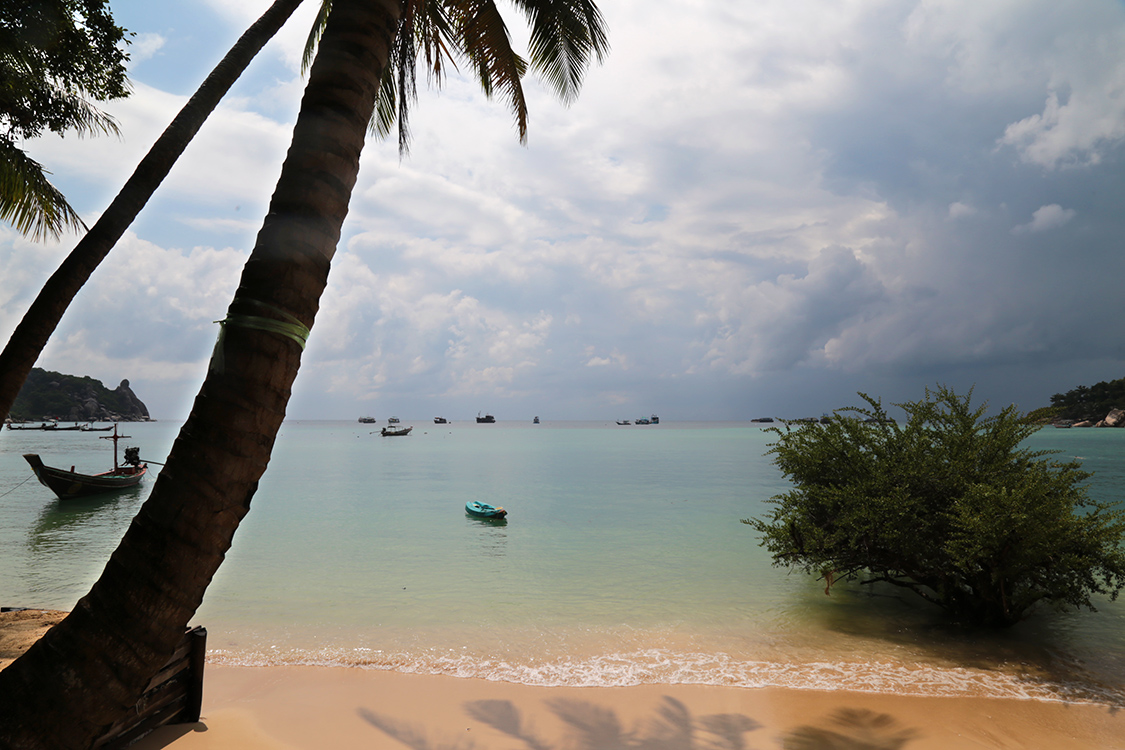 Koh Tao.
La journÃ©e repos du 1er janvier...